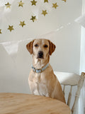 HYDRANGEA CLASSIC COLLAR - PRE ORDER