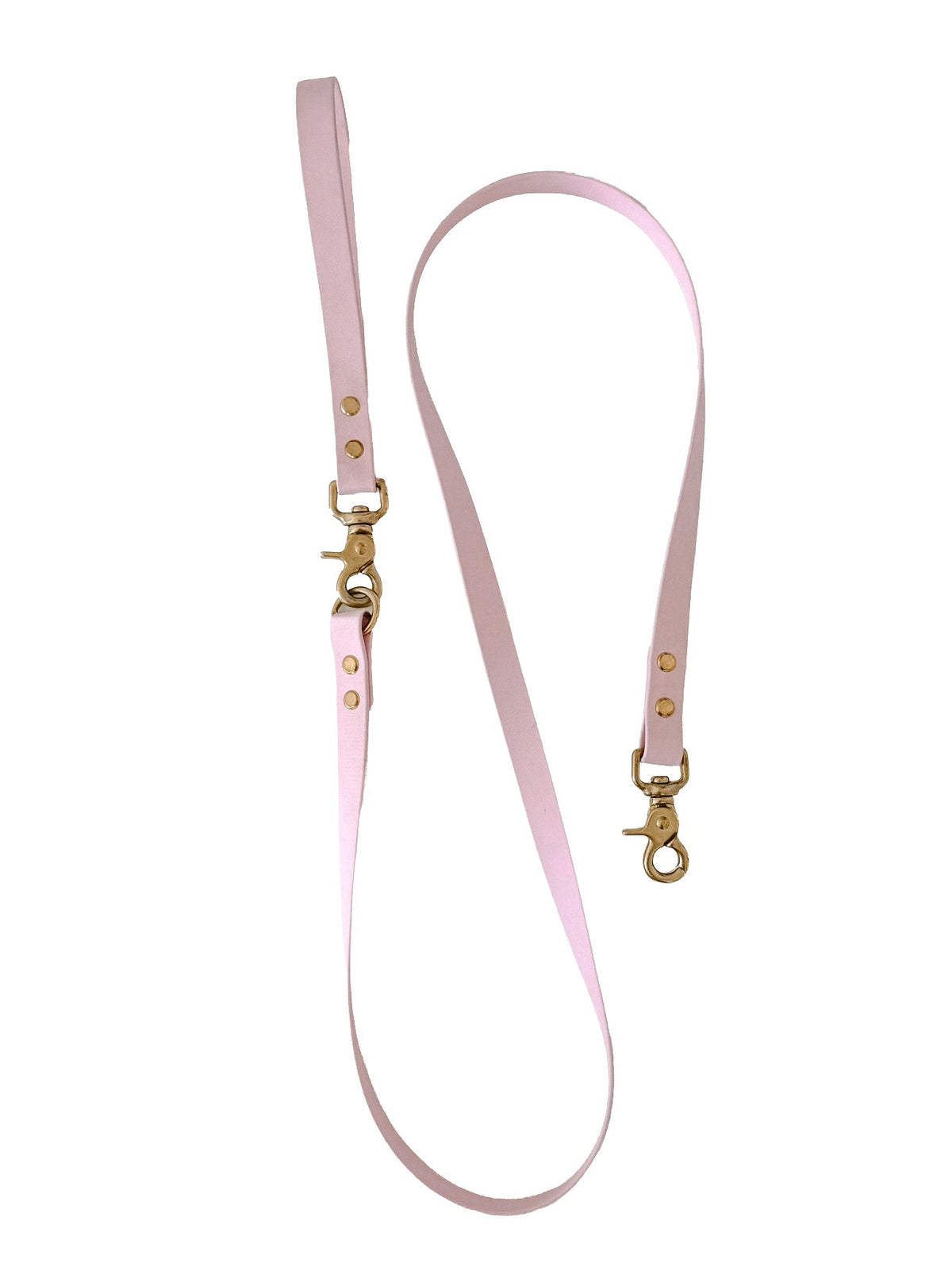 PETAL EXPLORER LEAD - PRE ORDER